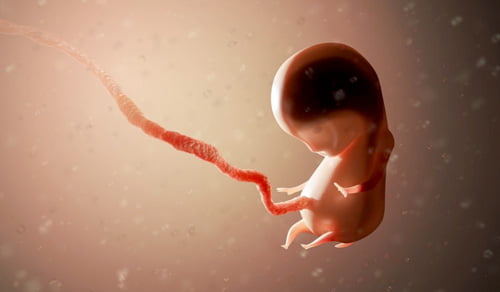 اجهاض في الاسبوع الاول من الحمل